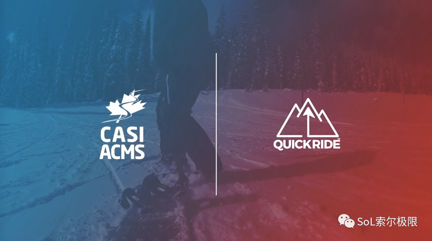 开云体育-包含莱万多夫斯基遭遇十二持续失利，加拿大队教练压力巨大！的词条-开云体育